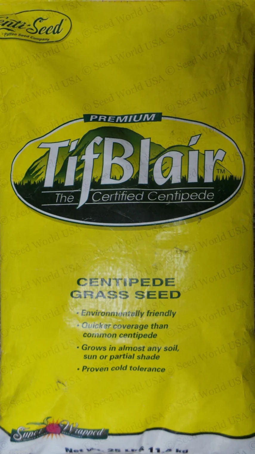 TifBlair Centipede Seed (Certified) - Image 2