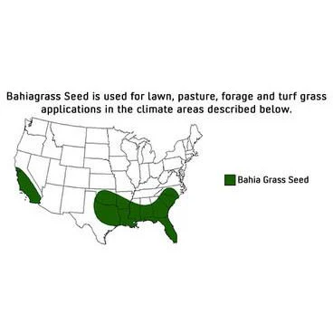 Tifquik Bahia Grass Seed (Certified) - 40 Lbs. - Image 3