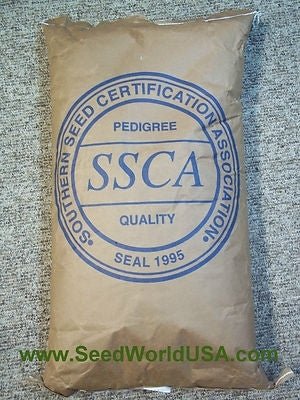 Tifquik Bahia Grass Seed (Certified) - 40 Lbs. - Image 5