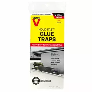 Victor Rat Glue Tray