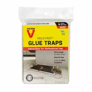 Victor Rat Glue Tray - Image 2