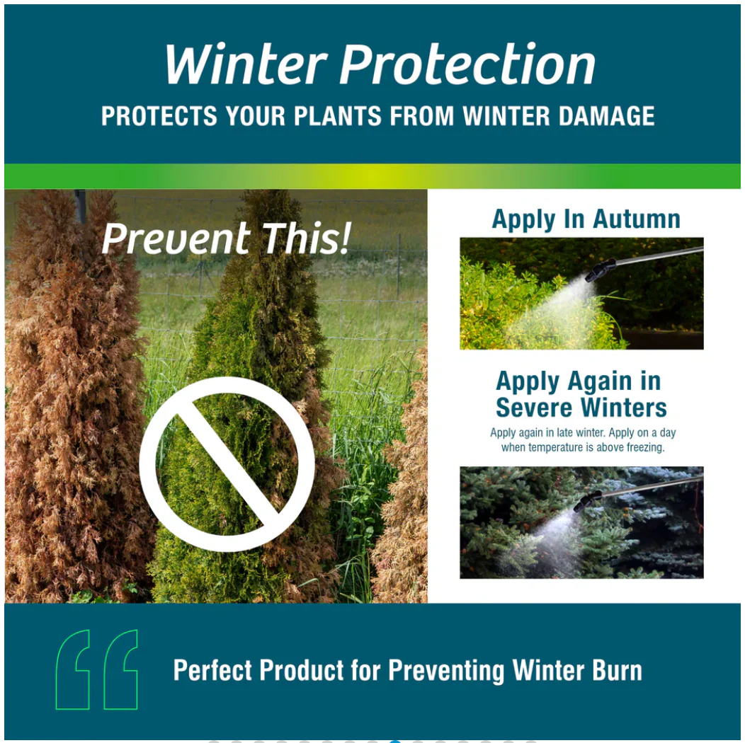 Wilt-Pruf Plant Protector Concentrate - Image 7